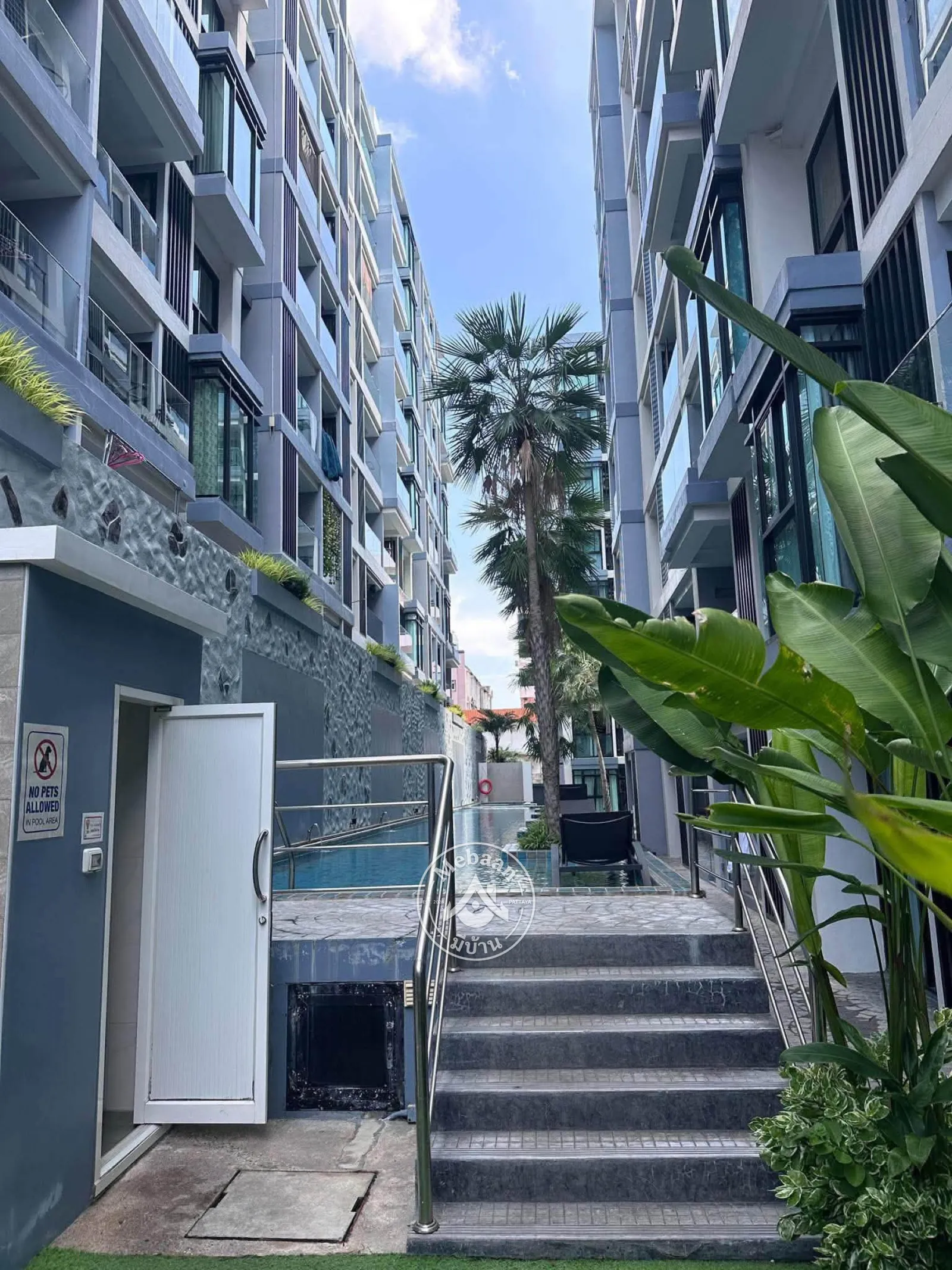 🦊🐶Pet friendly 🐈‍⬛🐩1-Bedroom Condo for Rent on Pratamnak Hill, Pattaya — 13